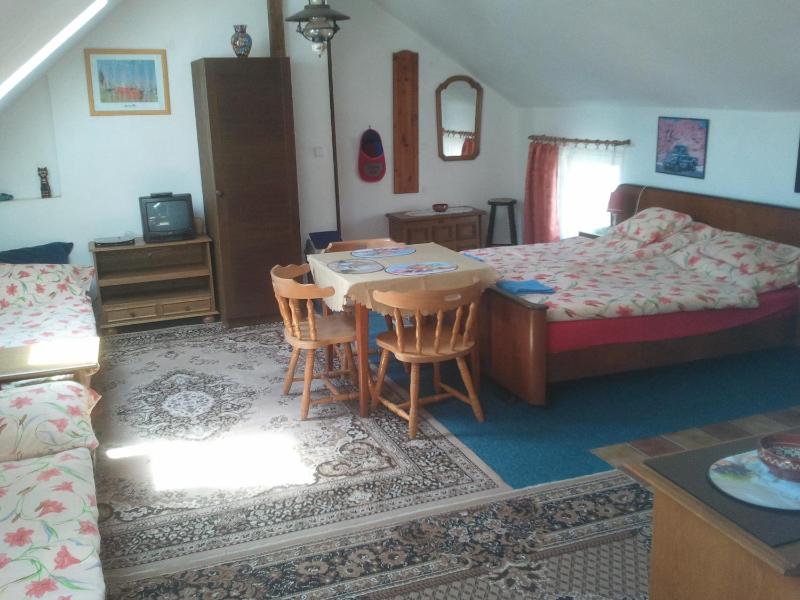Apartment - Attic image 2