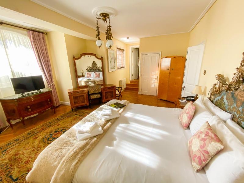 Superior Suite ( Not Dog Friendly) image 1