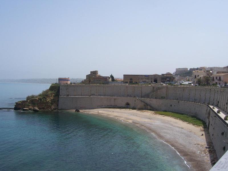 Case D'Anna - image 29