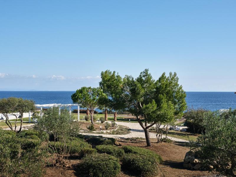 Superior Villa image 3