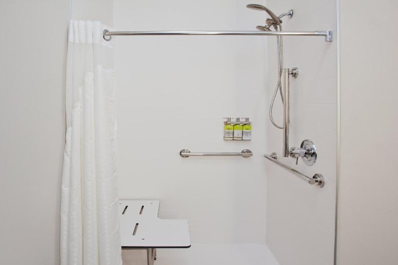 King Room with Mobility Accessible Trans Shower image 2