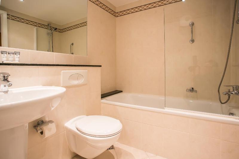 One-Bedroom Apartment image 4