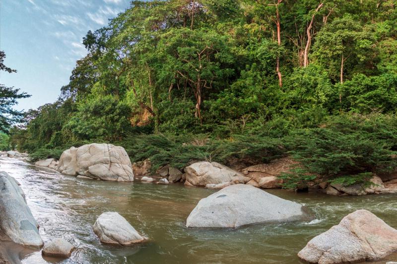 Senda Koguiwa Tayrona Nature Hotel - image 16