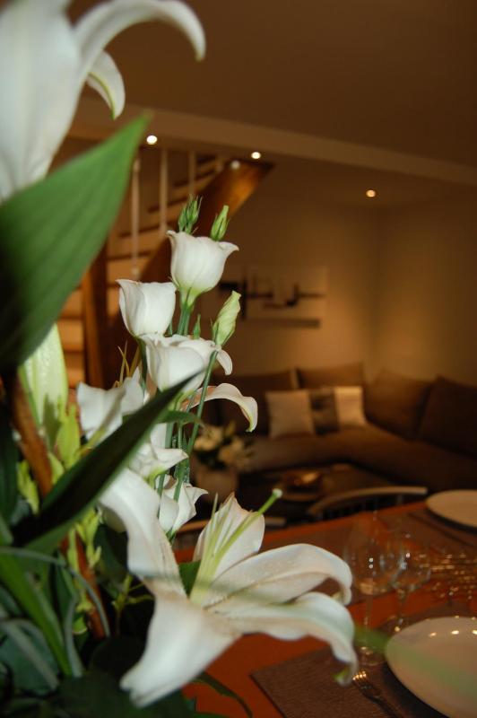 Apartment - Split Level image 3