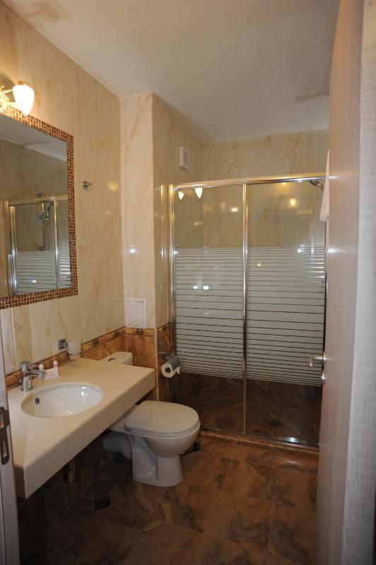 Deluxe One-Bedroom Suite image 2