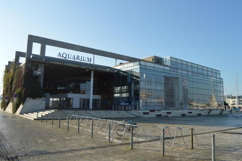 - Le petit Rochelais - Centre Vieux Port - image 17