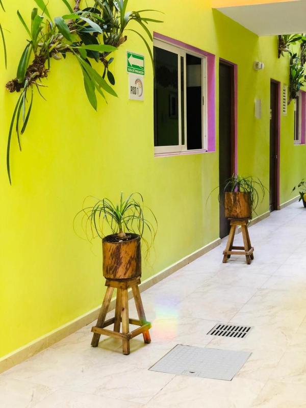 Hotel Arcoiris Tulum - image 23