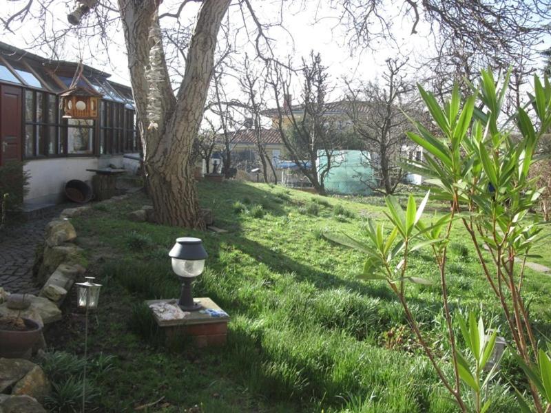 Single Room with Park View image 2