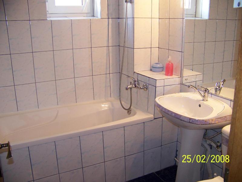 One-Bedroom Apartment image 4