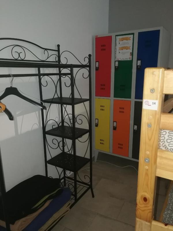 Bunk Bed in Mixed Dormitory Room image 4