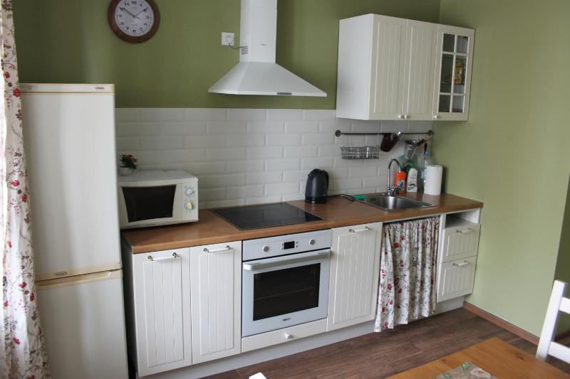 One-Bedroom Apartment image 2