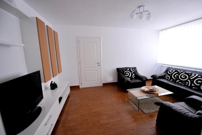 One-Bedroom Apartment image 2