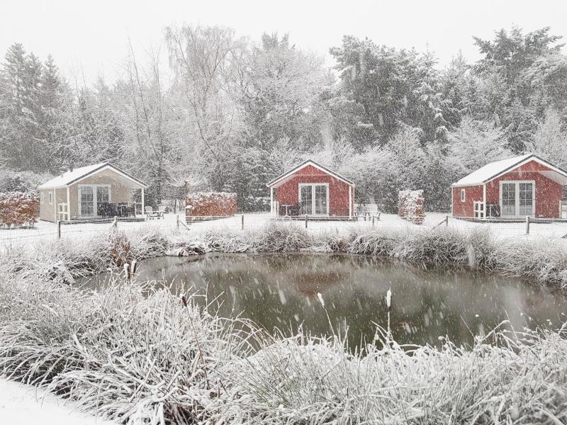 Holiday Home image 2