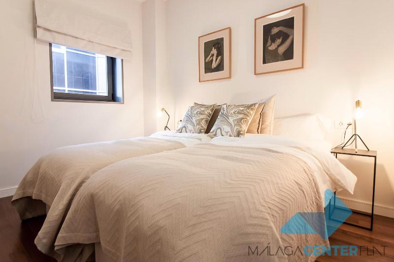 Malaga Center Flat Luxury - image 11