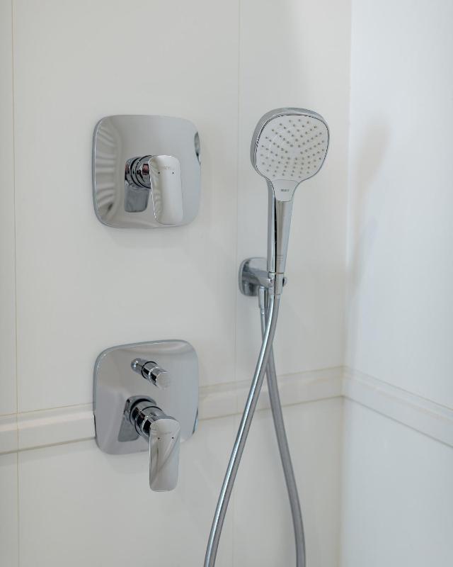 One-Bedroom Apartment image 3