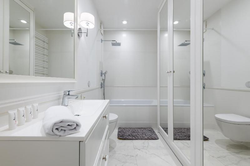 One-Bedroom Apartment image 4