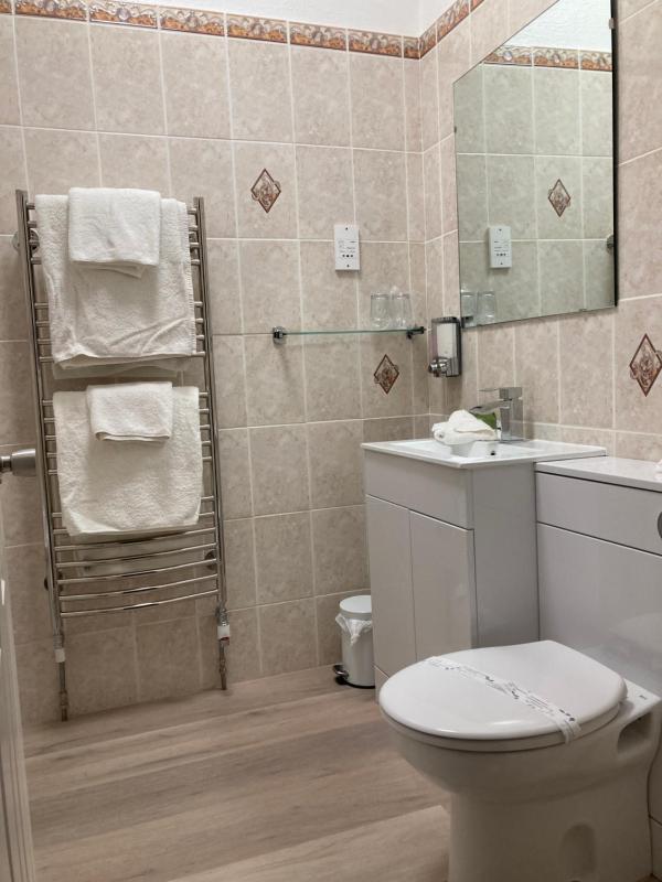 Superior Double Room (Garden View) image 3