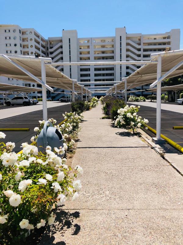Departamento La Serena Avenida Del Mar - image 9