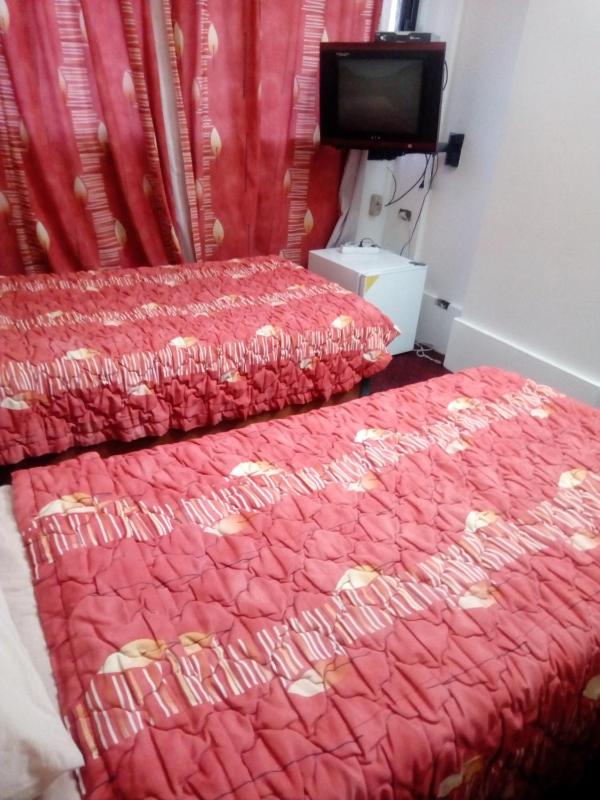 Bed in 4-Bed Dormitory Room
