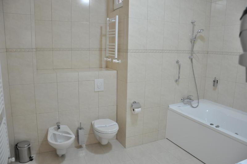 Deluxe Suite image 3