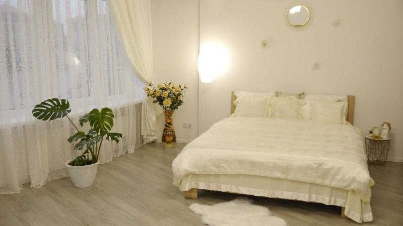 One-Bedroom Apartment image 1