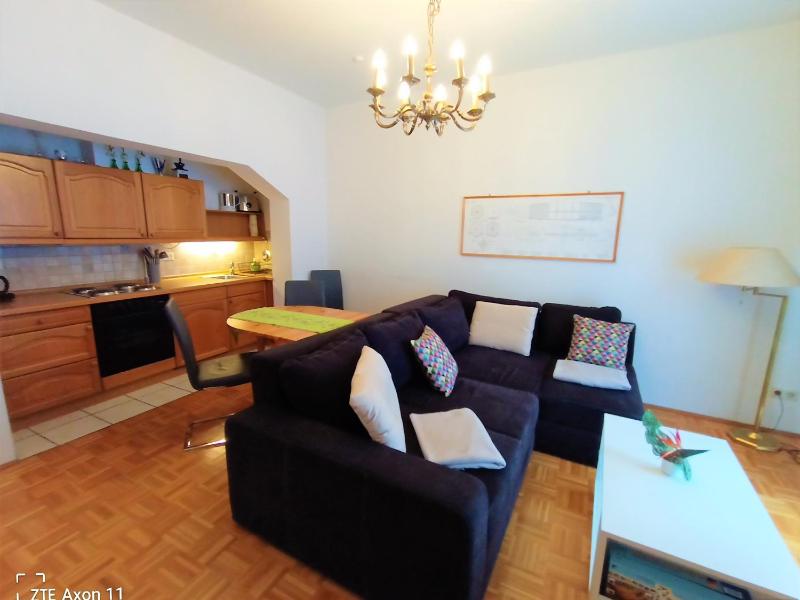 One-Bedroom Apartment image 4
