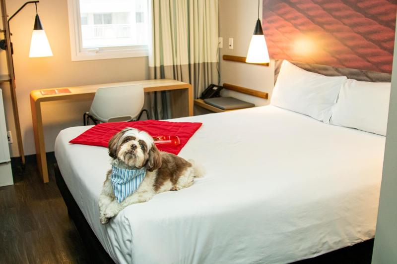Ibis Sao Paulo Tatuape - image 19