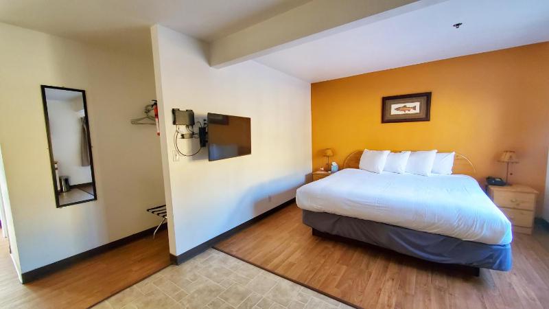 Pet Friendly King Studio with Kitchenette image 2