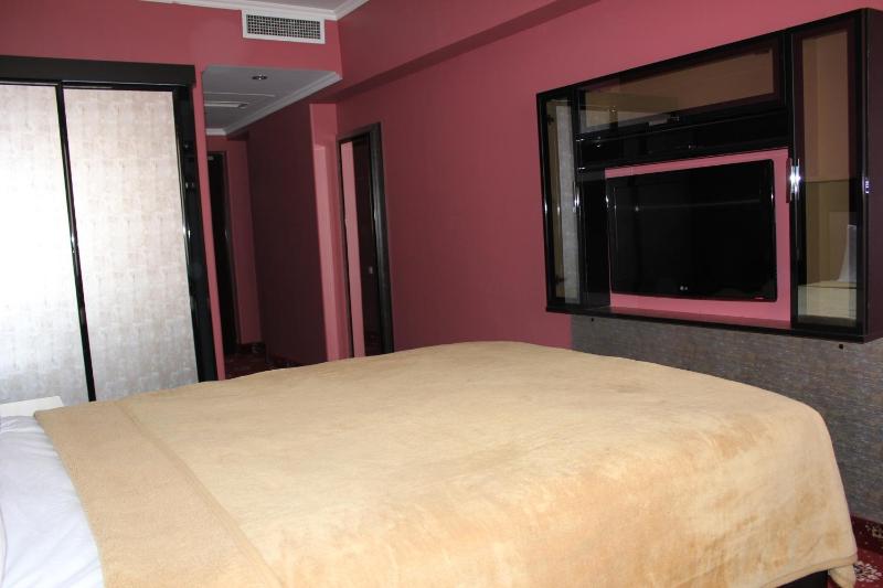 Single Room image 4
