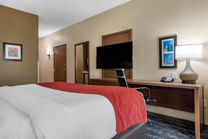 King Room with Roll-In Shower - Accessible/Non-Smoking image 4