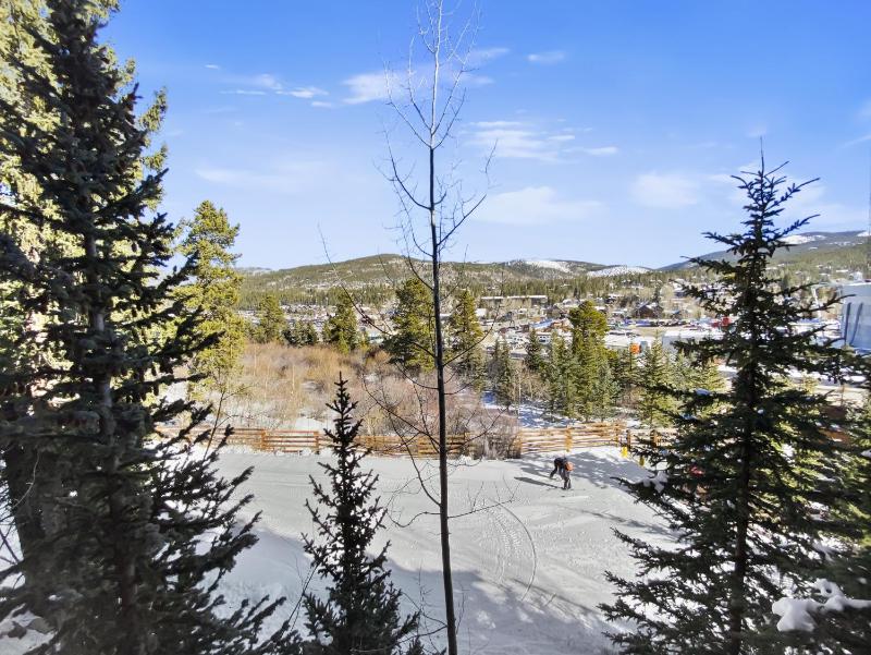 Mountain Thunder Lodge 1213 condo - image 10