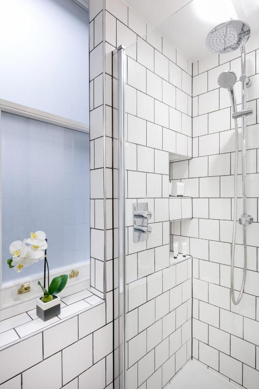 Standard One-Bedroom Apartment image 4