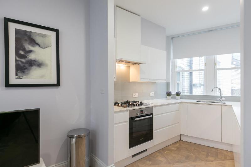 Superior One-Bedroom Apartment image 3