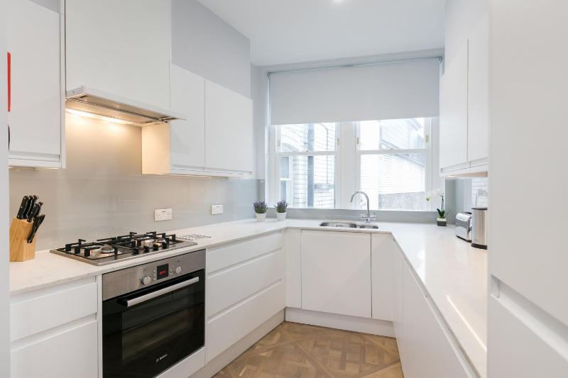 Superior One-Bedroom Apartment image 2