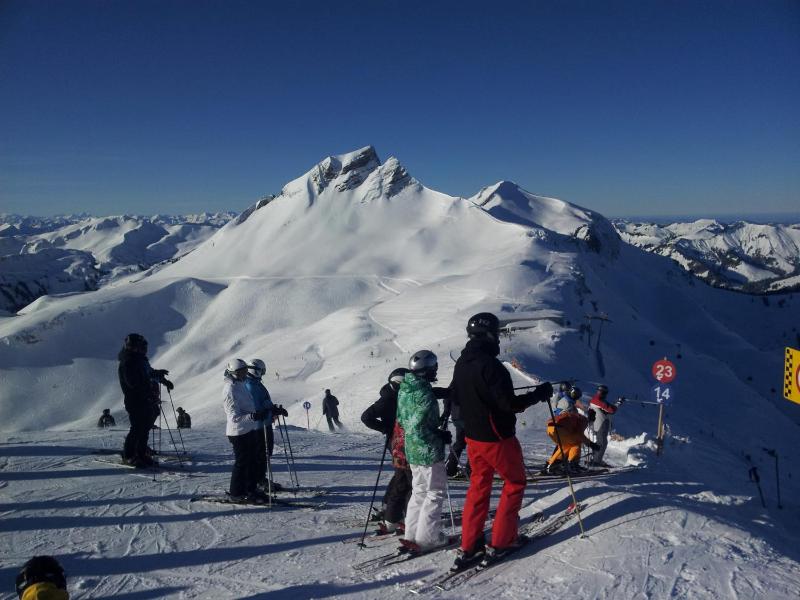 One-Bedroom Apartment image 4