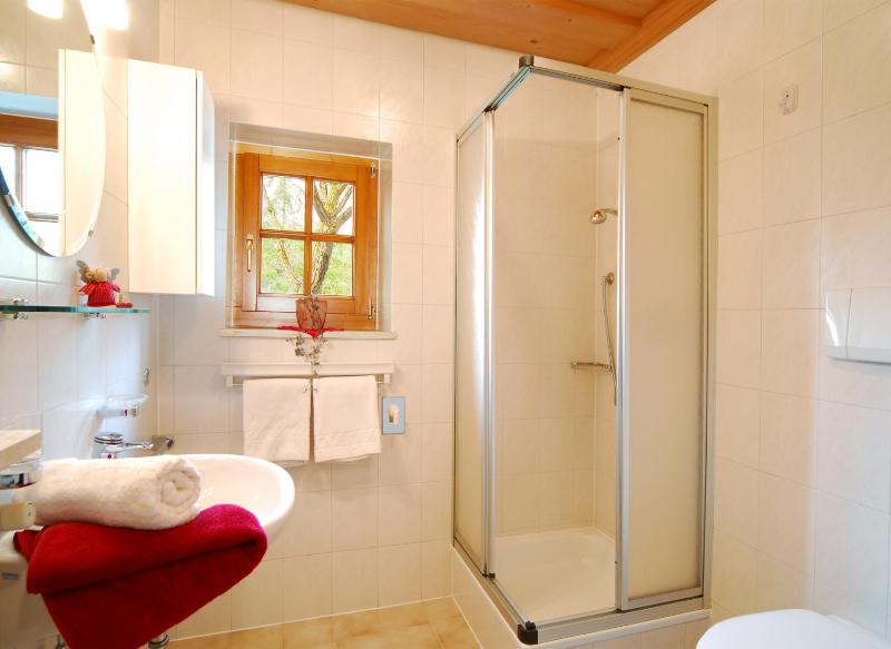 One-Bedroom Apartment with North Balcony image 3