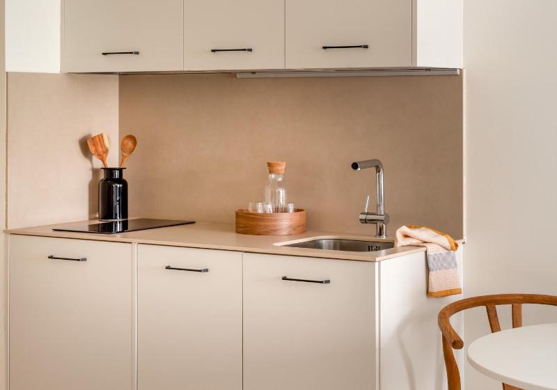 One-Bedroom Apartment image 4