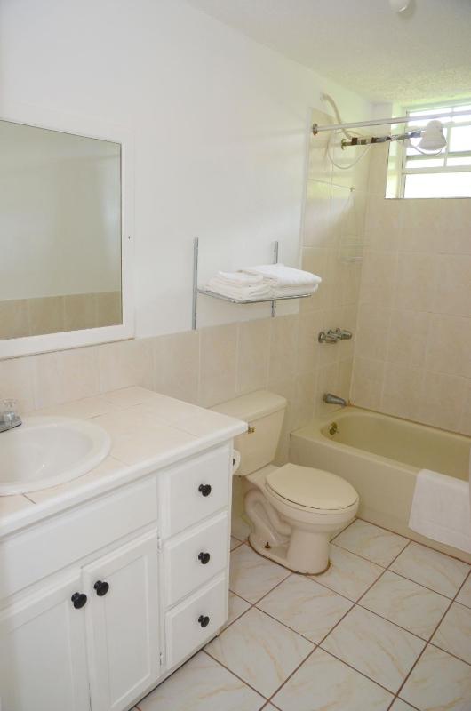 Bascombe Apartments - image 3