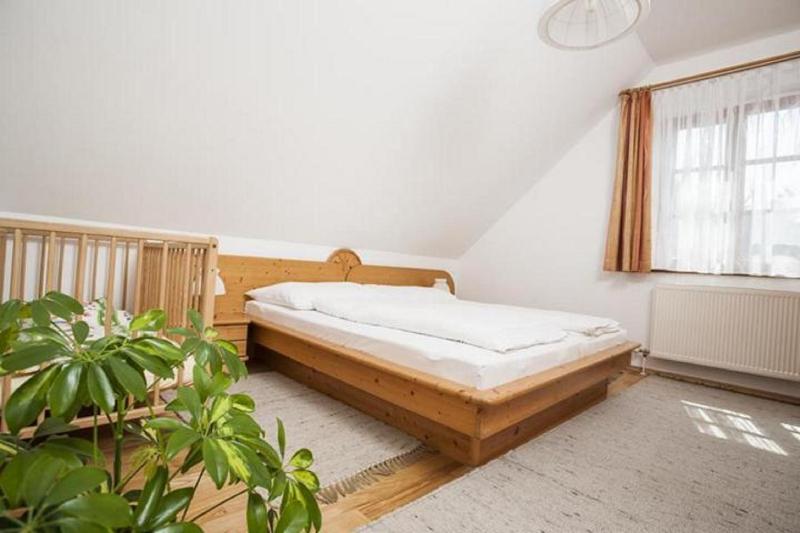 One-Bedroom Apartment image 3