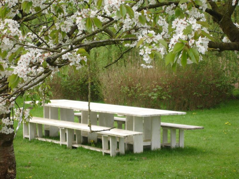 One-Bedroom House image 2