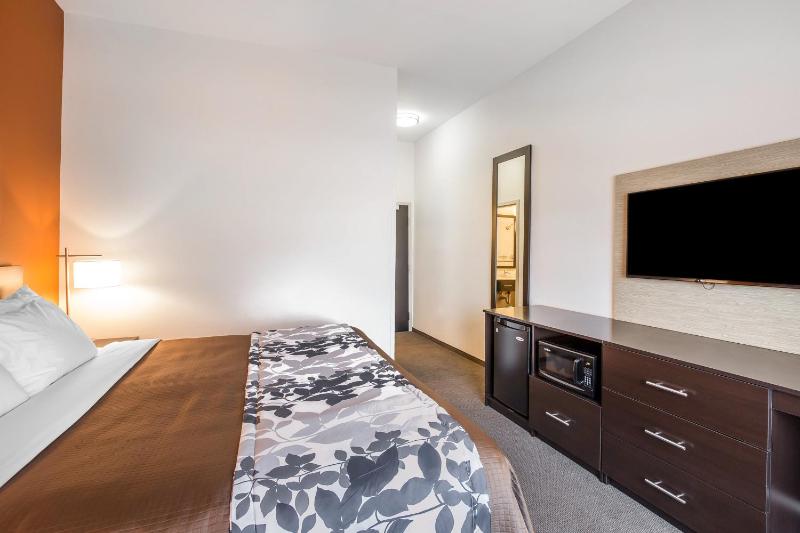 King Room - Accessible/Non-Smoking image 3