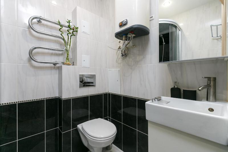 One-Bedroom Apartment image 2