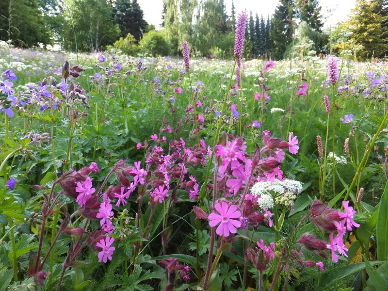 One-Bedroom Apartment image 3