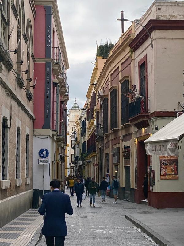 Remolars Sevilla - image 14
