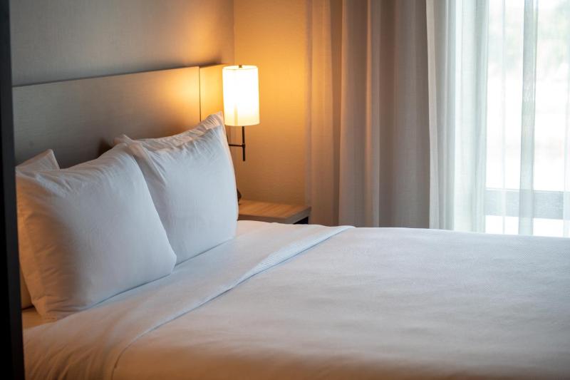 Specialty King Room with Sofa Bed image 1