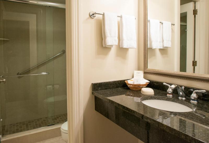 Kings Courtyard Inn - image 24