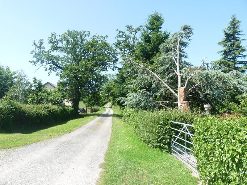 Oakenholt Farm Bed and Breakfast - image 33