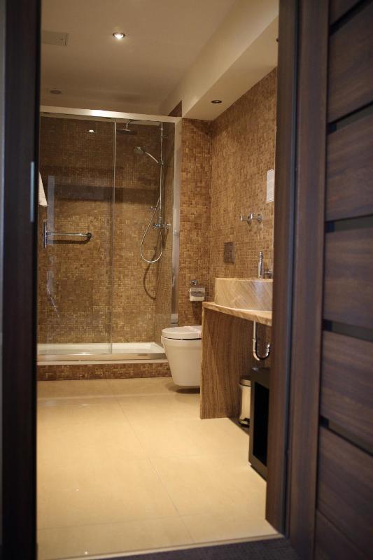 Deluxe Double Room image 3