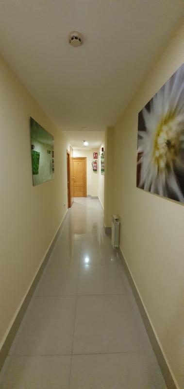 Hostal Moncloa - image 15