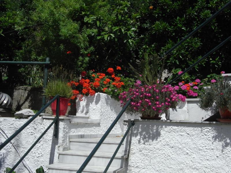 Villa Yiannis (Adult Friendly) - image 22